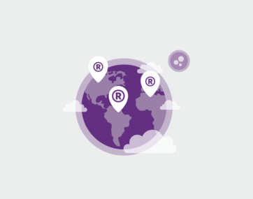 Understanding the importance of IP